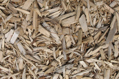 biomass boilers Dunduff